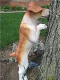 Outdoor Living : Life Sized Standing Garden Puppy Dog Statue Peeking Pooch