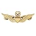 Generic Men's USAF Wings Military Command Pilot Metal Wings Metal Badge Pin