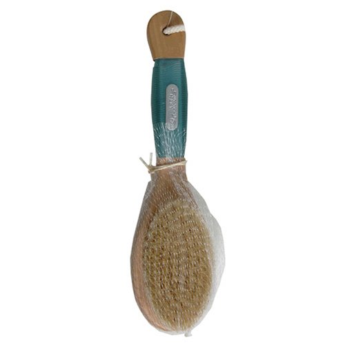 Earth Therapeutics Body Brush, Contoured, 1 each (Pack of 3)