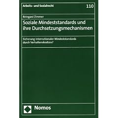 Soziale Mindeststandards und ihre Durchsetzungsmechanismen: Sicherung internationaler Mindeststandards durch Verhaltenskodizes?