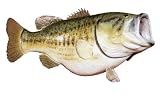 Signature Series-Large Mouth 