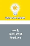 How To Take Care Of Your Lawn