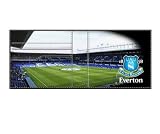 EVERTON Football Club - Embossed Stadium Wallet