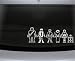 Star Wars Family Decal Set Stick People Car or Wall Vinyl Decal Stickers