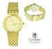 (CITIZEN) Gents Eco-Drive Watch (BP5002-50P)