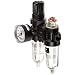 Dixon PTH-200AG Norgren Series Micro Mate Combination Unit, 10 SCFM, 1/4" Port Size, 5-125 PSI