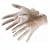 Silverline 675052 Box of 100 Vinyl Gloves