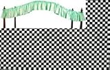 Checkered Flag Camel Back Crib Canopy