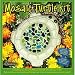 Midwest Products Mosaic Turtle Stepping Stone Kit