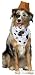 Pet Western Dog Halloween Costume For Small Dogs