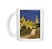 Unknown Photo Mugs