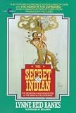 The Secret of the Indian (Indian in the Cupboard)