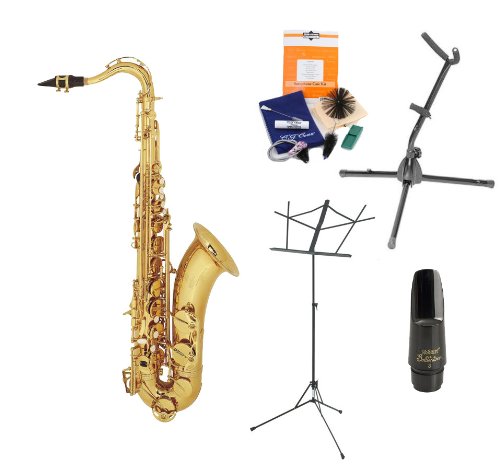 Legacy TS750 Student Intermediate Tenor Saxophone with Case Accessories and Selmer Mouthpiece The Instrument Store Starter Kit