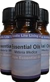 Ginger Essential Oil 10ml * FREE P&P * A.T.C. Reg d