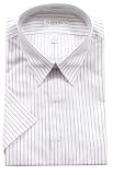 Van Heusen Short Sleeve Poplin Dress Shirt