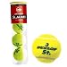 DUNLOP（ダンロップ） 【硬式】ダンロップ セント ジェームス 60球の画像
