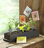 Flowers by 1800Flowers - Balcony Vegetable Garden
