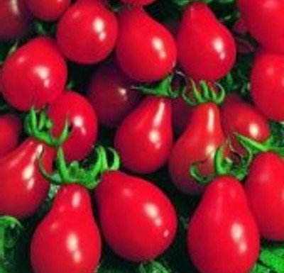 Rote Mini-Tomate in Birnenform - red Pear-Tomate - rotes Birnchen - 20 Samen Rote Mini-Tomate in Birnenform - red Pear-Tomate - rotes Birnchen - 20 Samen