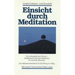 Einsicht durch Meditation