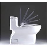 TOTO Transitional SoftClose Toilet Seat