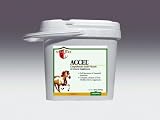 Vitaflex Accel 20 Lb