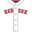 Boston Red Sox MLB Book Cover