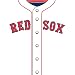 Boston Red Sox MLB Book Cover