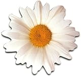 Oxeye Daisy Die-Cut Flower Photographic Magnet