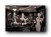 JAVA DREAMS MONROE ELVIS JAMES DEAN 24X36 POSTER 1546