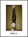 Balance 18" X 24" Laminated Yoga Poster