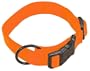Hamilton 1-Inch Adjustable Dog Collar, Large, Fits 18-Inch by 26-Inch, Mango Orange