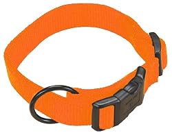 Hamilton 3/4" Adjustable Dog Collar, adjusts from 16-22 inches, Mango Orange