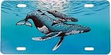 Humpback Whale License Plate