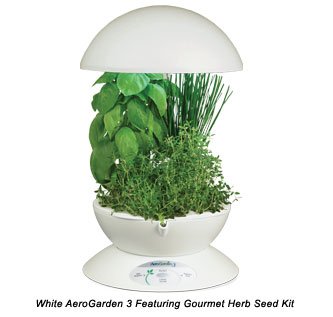 AeroGarden 900210-1200 3 with Gourmet Herb Seed Kit, White