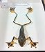 Real Wallace's Flying Frog Mounts Animals Taxidermy in Framed