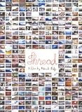 Thread Surf Surfing DVD
