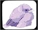 Mouse Pad with chick, jaybird, beak, bird, animal Image