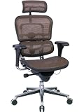 EUTME7ERGAJ Eurotech Seating Ergohuman High Back Chair, Orange/Copper Mesh (KM13)