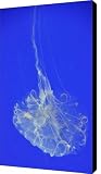 Ocean Dancer 2 Canvas Print / Canvas Art - Artist Jennifer Crites