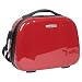 Search : Titan Luggage 360° Four 14" Beauty Case - Flash