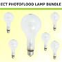 ECT PhotoFlood Lamp 500w 120v (3200k) 6 Bulb Bundle