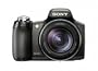 Sony Cybershot DSC-HX1 9.1MP Digital Camera with 20x Optical Zoom with Super Steady Shot Image Stabilization and 3.0 Inch LCD