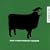 Short Stories From East Yorkshire