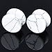 D&M Jewelry 6 Pairs Mixed Stone Ear Plugs Tunnels Saddle Expander Body Piercing Set Gauges 2g-5/8