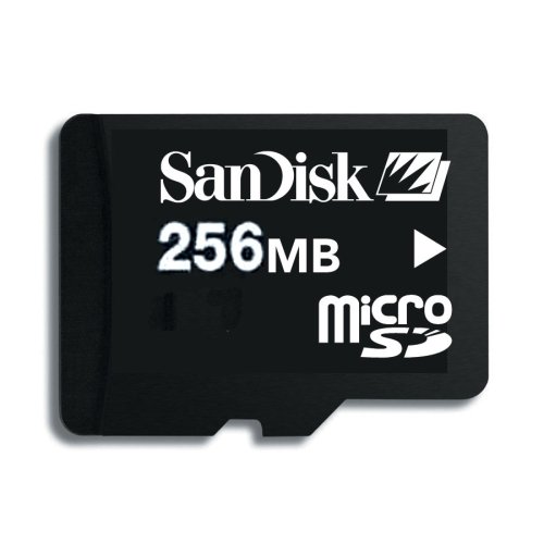 SanDisk 256MB MicroSD