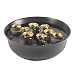 Woodstock Chimes Encore Water Bell Fountain