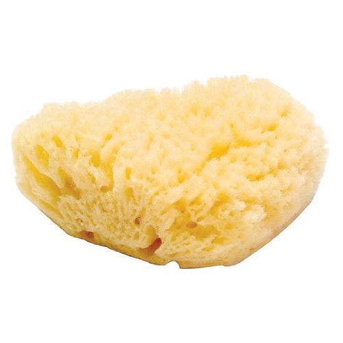 Bath Buddies Natural Bath Sponge