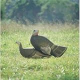 Feather Flex® Signature Series Breeders Hen / Bubba Turkey Decoy