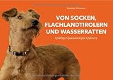 Von Socken, Flachlandtirolern und Wasserratten: Quirlige Quasselstrippe Quincey