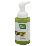 Cleanwell All-Natural Antibacterial Foaming Handsoap 9.5 fl oz (280 ml)